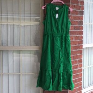 Brand new never worn green J Crew dress